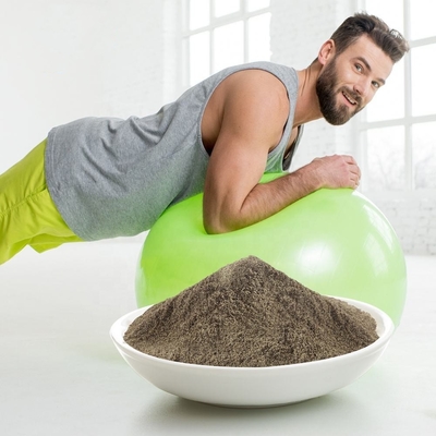 Bột protein hữu cơ chất lượng cao OEM Bổ sung tăng cân Bột protein thuần chay
