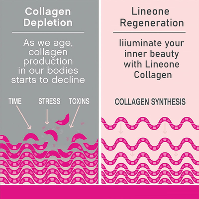 Bột uống collagen OEM Collagen Sản phẩm làm đẹp Collagen cá thủy phân Collagen Peptide