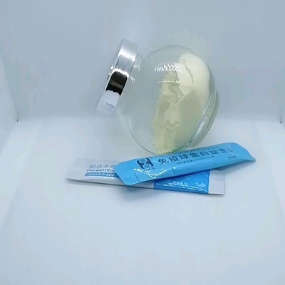 OEM 20 tỷ lactobacilli, bifidobacteria, men vi sinh, tiêu hóa thức ăn, bột bổ sung chế độ ăn uống