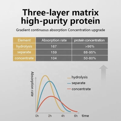 OEM/ODM Whey Protein Powder Bột dinh dưỡng Tập thể dục Tăng cơ bắp Tăng cân nhanh Bột Creatine
