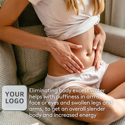 OEM Bổ sung chăm sóc sức khỏe chất lượng cao Vegan Burn Fat Giảm cân Burning Detox Pill Viên nang giảm béo FatZorb