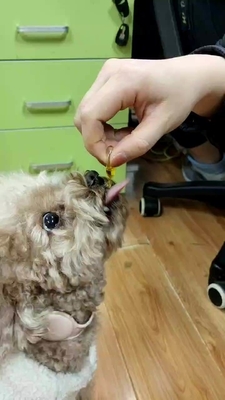 OEM Pet Health Bổ sung dinh dưỡng Dầu cá cho chó và mèo Omega 3