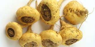 Viên nang Maca Bổ sung dinh dưỡng cho nam giới Bổ sung cơ thể cường tráng