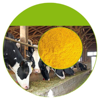Dầu Vitamin E Phụ Nữ Bổ Sung Dinh Dưỡng Cho Nam Giới Và Sức Khỏe Phụ Nữ