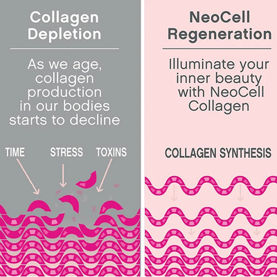 ODM 360 PC Collagen Peptides viên Bottle Package