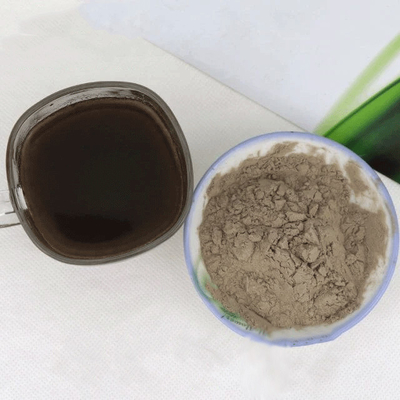 Bột enzyme Noni tươi cho bột đồ uống rắn