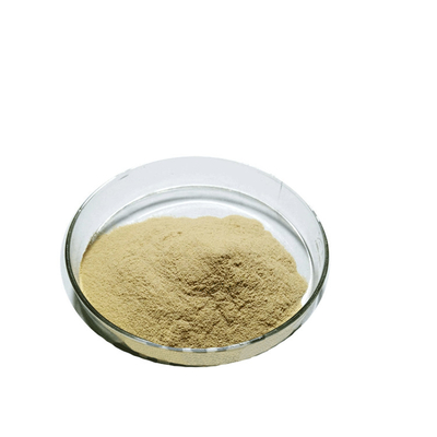 Bổ sung tự nhiên chất lượng cao Green Tea Leaf Extract 98% Tea Polyphenols Powder