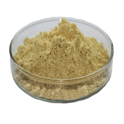 Bổ sung tự nhiên chất lượng cao Green Tea Leaf Extract 98% Tea Polyphenols Powder