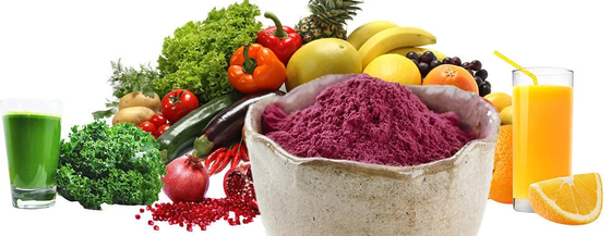 Nhà sản xuất Cung cấp bán nóng dung dịch trong nước nước ngay lập tức nước ép elderberry bột bột trái cây